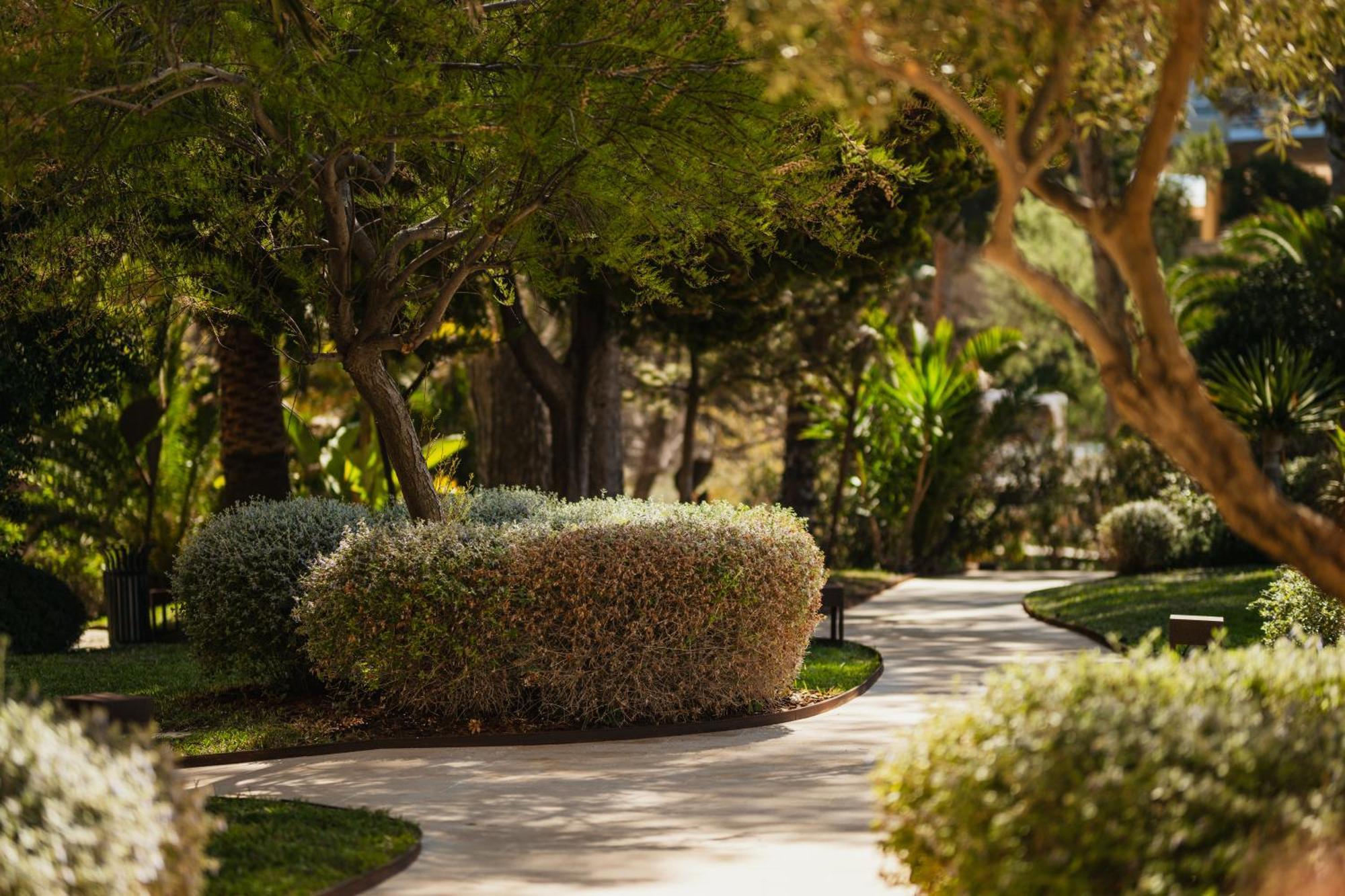 Secrets Mallorca Villamil Resort & Spa - Adults Only ปาเกรา ภายนอก รูปภาพ A path at the resort